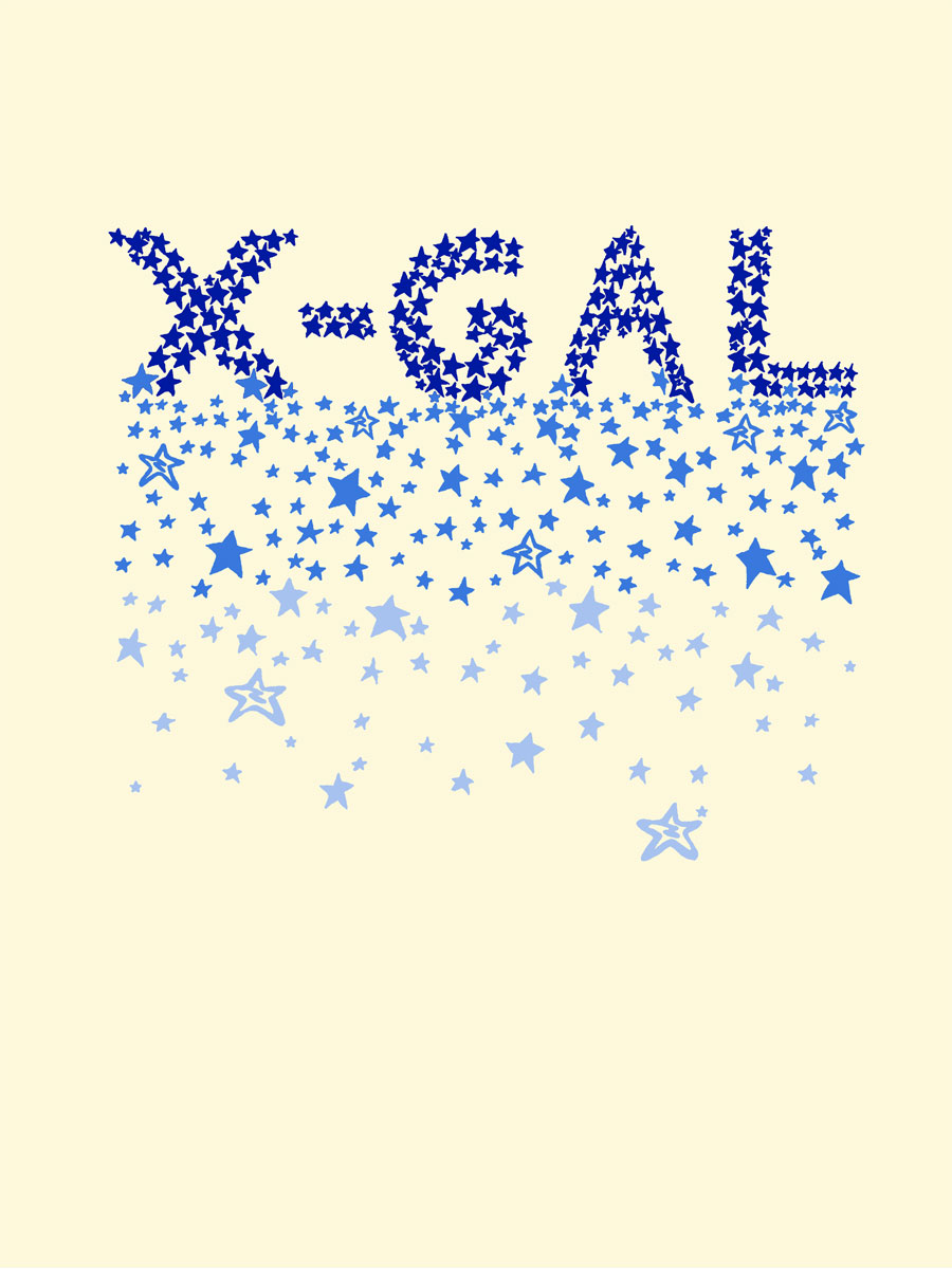'X-Gal' Print. Zakee Shariff for X-Girl, SS08